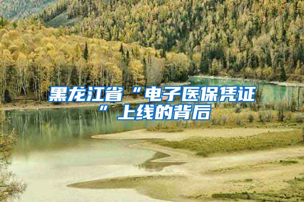 黑龙江省“电子医保凭证”上线的背后