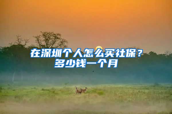 在深圳个人怎么买社保？多少钱一个月