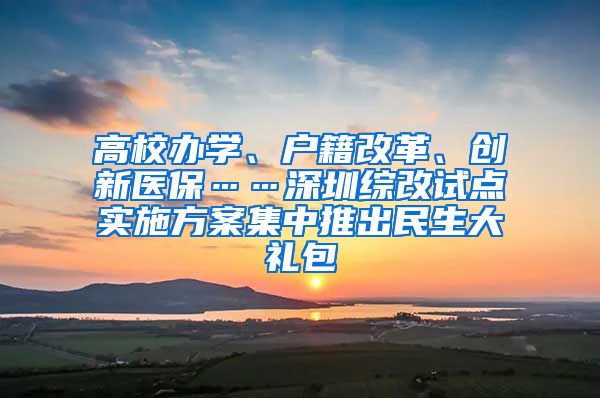 高校办学、户籍改革、创新医保……深圳综改试点实施方案集中推出民生大礼包
