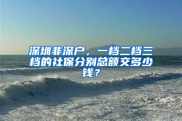 深圳非深户，一档二档三档的社保分别总额交多少钱？