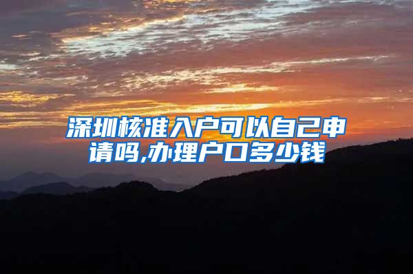 深圳核准入户可以自己申请吗,办理户口多少钱