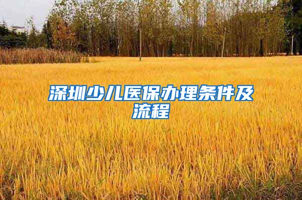 深圳少儿医保办理条件及流程