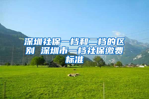 深圳社保一档和二档的区别 深圳市一档社保缴费标准