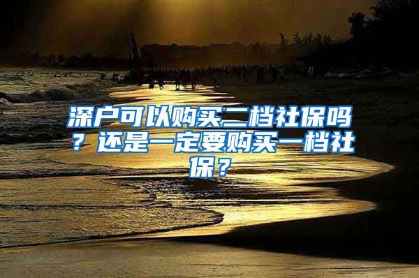 深户可以购买二档社保吗？还是一定要购买一档社保？