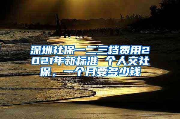 深圳社保一二三档费用2021年新标准 个人交社保，一个月要多少钱