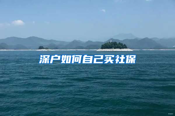 深户如何自己买社保