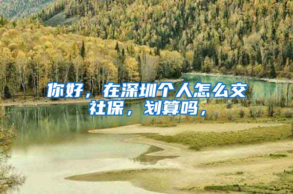 你好，在深圳个人怎么交社保，划算吗，