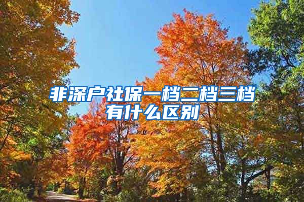 非深户社保一档二档三档有什么区别