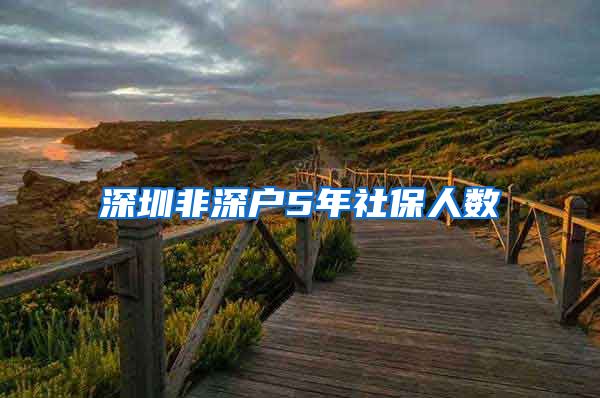 深圳非深户5年社保人数