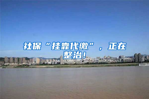 社保“挂靠代缴”，正在整治！