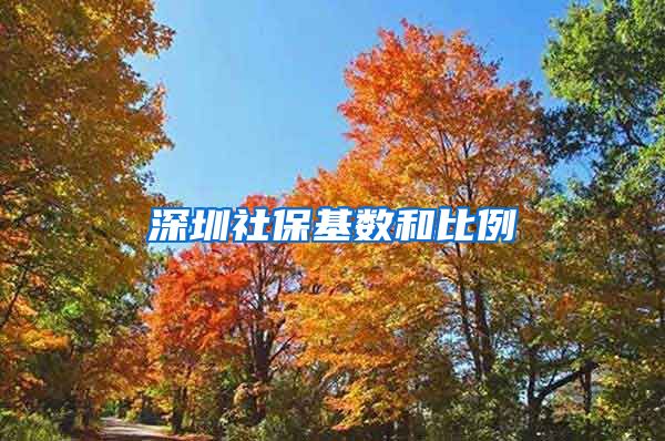 深圳社保基数和比例