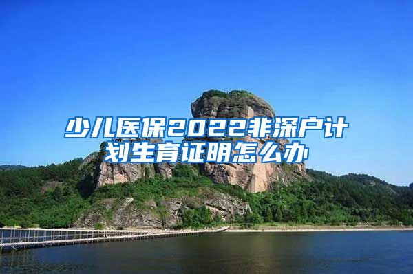 少儿医保2022非深户计划生育证明怎么办
