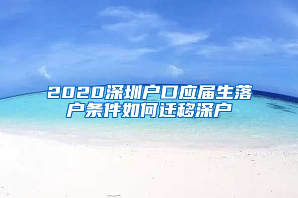 2020深圳户口应届生落户条件如何迁移深户