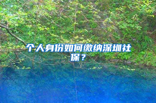个人身份如何缴纳深圳社保？