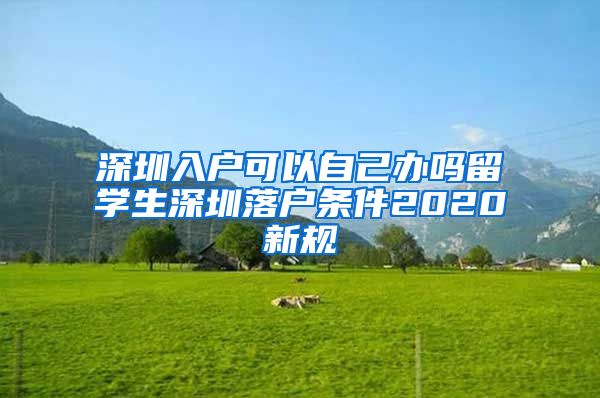 深圳入户可以自己办吗留学生深圳落户条件2020新规