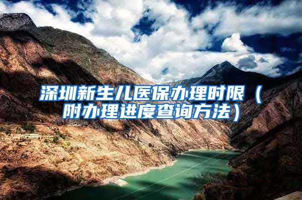 深圳新生儿医保办理时限（附办理进度查询方法）