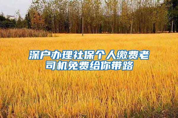深户办理社保个人缴费老司机免费给你带路