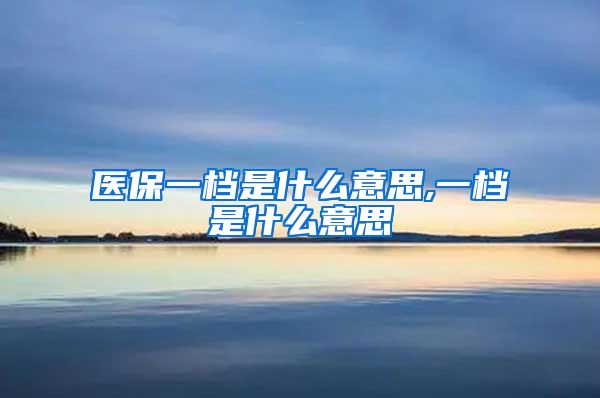 医保一档是什么意思,一档是什么意思