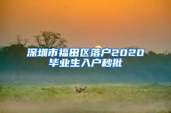 深圳市福田区落户2020毕业生入户秒批