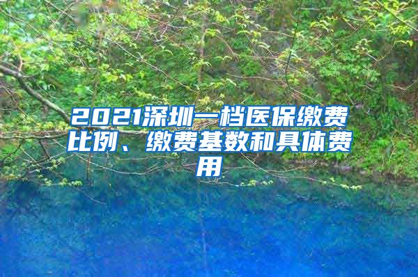 2021深圳一档医保缴费比例、缴费基数和具体费用