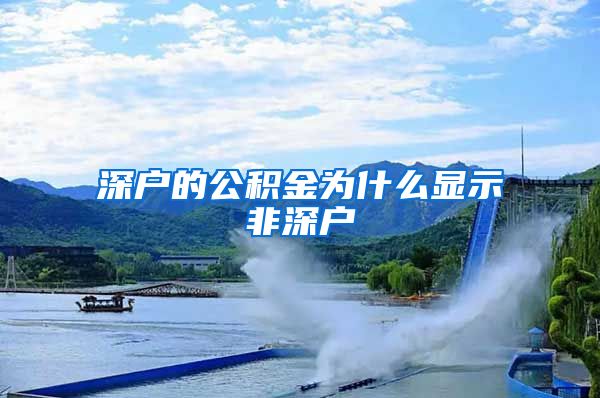 深户的公积金为什么显示非深户