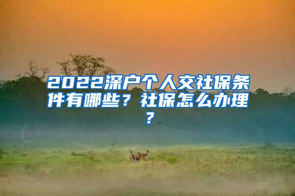 2022深户个人交社保条件有哪些？社保怎么办理？