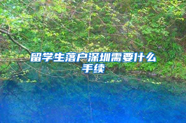 留学生落户深圳需要什么手续