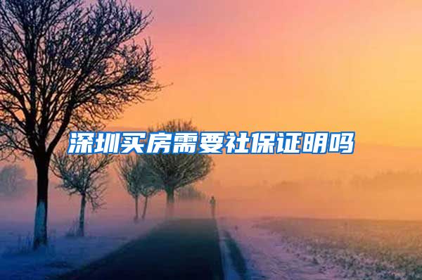 深圳买房需要社保证明吗