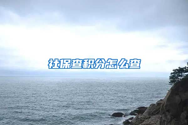 社保查积分怎么查