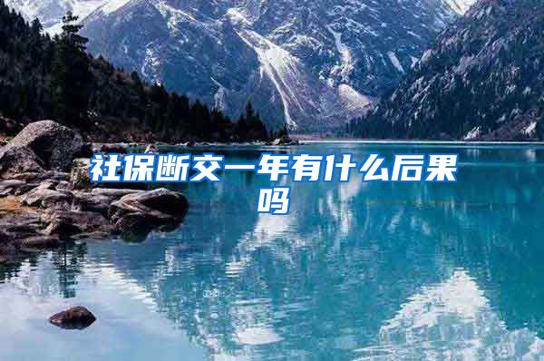 社保断交一年有什么后果吗