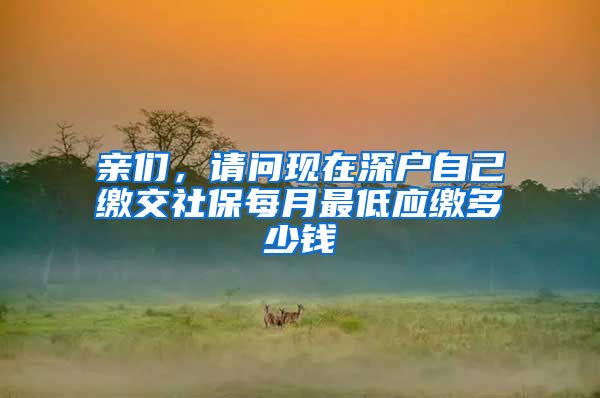 亲们，请问现在深户自己缴交社保每月最低应缴多少钱