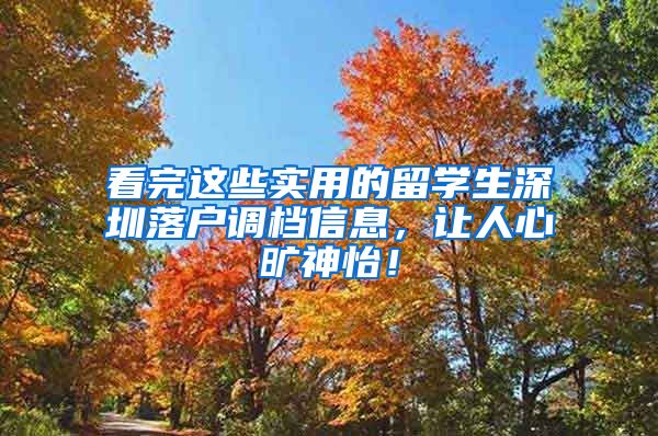 看完这些实用的留学生深圳落户调档信息，让人心旷神怡！