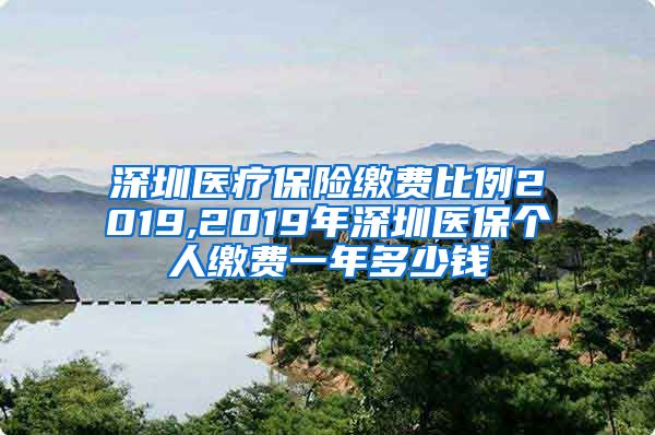 深圳医疗保险缴费比例2019,2019年深圳医保个人缴费一年多少钱