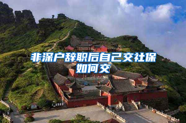 非深户辞职后自己交社保如何交