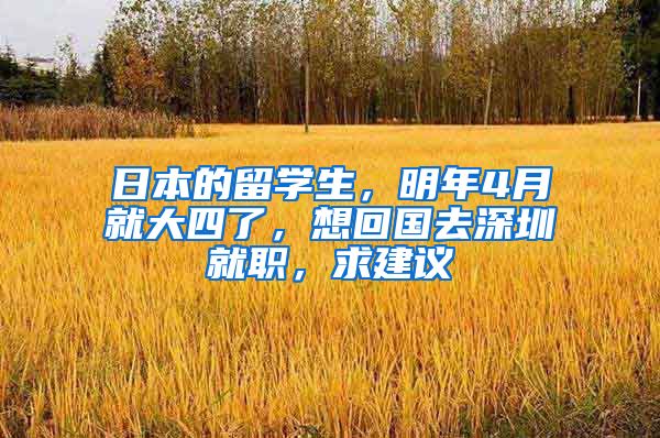 日本的留学生，明年4月就大四了，想回国去深圳就职，求建议