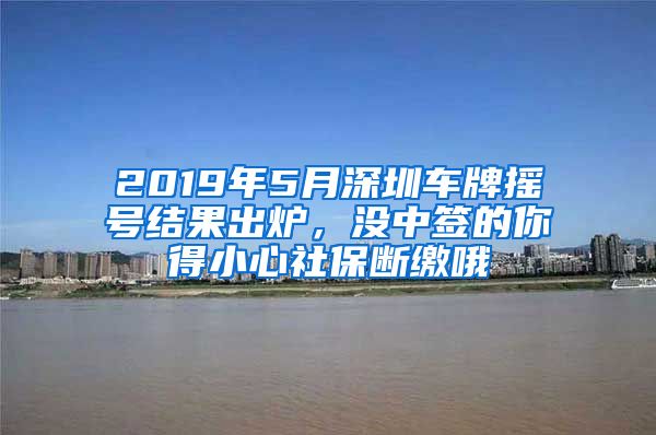 2019年5月深圳车牌摇号结果出炉，没中签的你得小心社保断缴哦