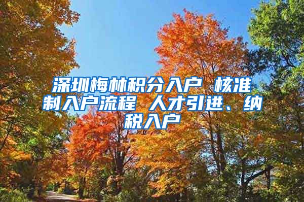 深圳梅林积分入户 核准制入户流程 人才引进、纳税入户