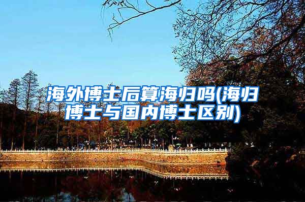 海外博士后算海归吗(海归博士与国内博士区别)