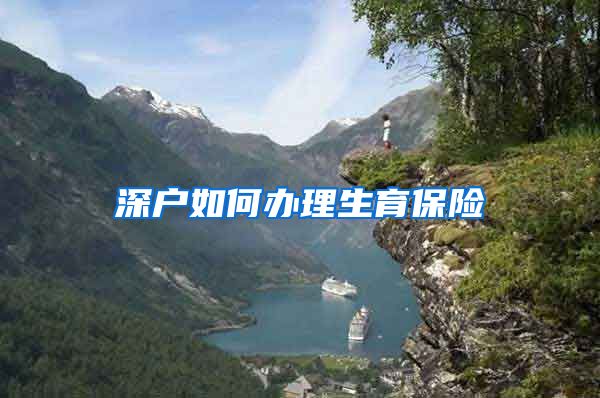 深户如何办理生育保险