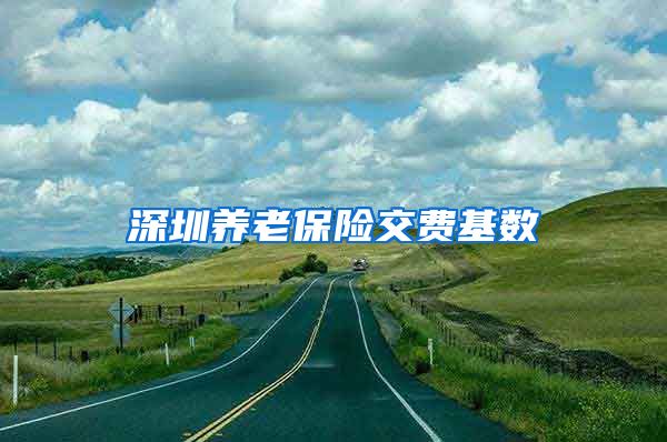 深圳养老保险交费基数