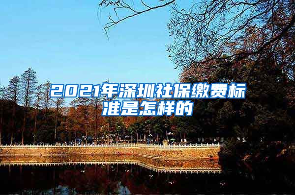 2021年深圳社保缴费标准是怎样的