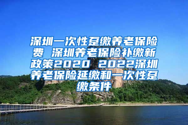 深圳一次性趸缴养老保险费 深圳养老保险补缴新政策2020 2022深圳养老保险延缴和一次性趸缴条件