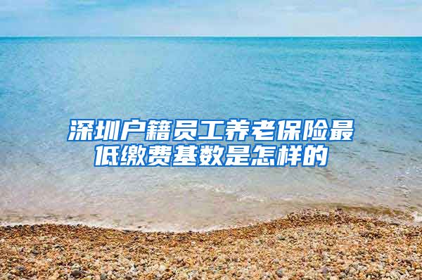 深圳户籍员工养老保险最低缴费基数是怎样的