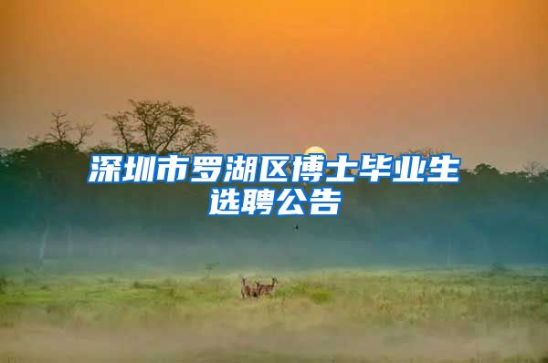 深圳市罗湖区博士毕业生选聘公告