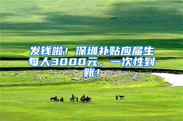 发钱啦！深圳补贴应届生每人3000元，一次性到账！