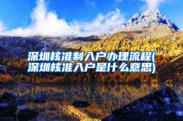 深圳核准制入户办理流程(深圳核准入户是什么意思)