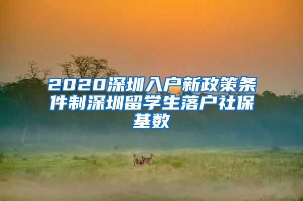 2020深圳入户新政策条件制深圳留学生落户社保基数