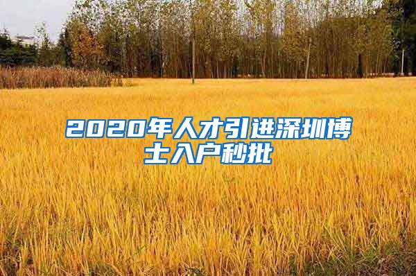 2020年人才引进深圳博士入户秒批