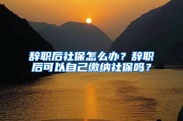 辞职后社保怎么办？辞职后可以自己缴纳社保吗？