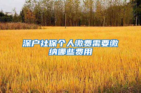 深户社保个人缴费需要缴纳哪些费用
